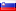 Slovenya flag